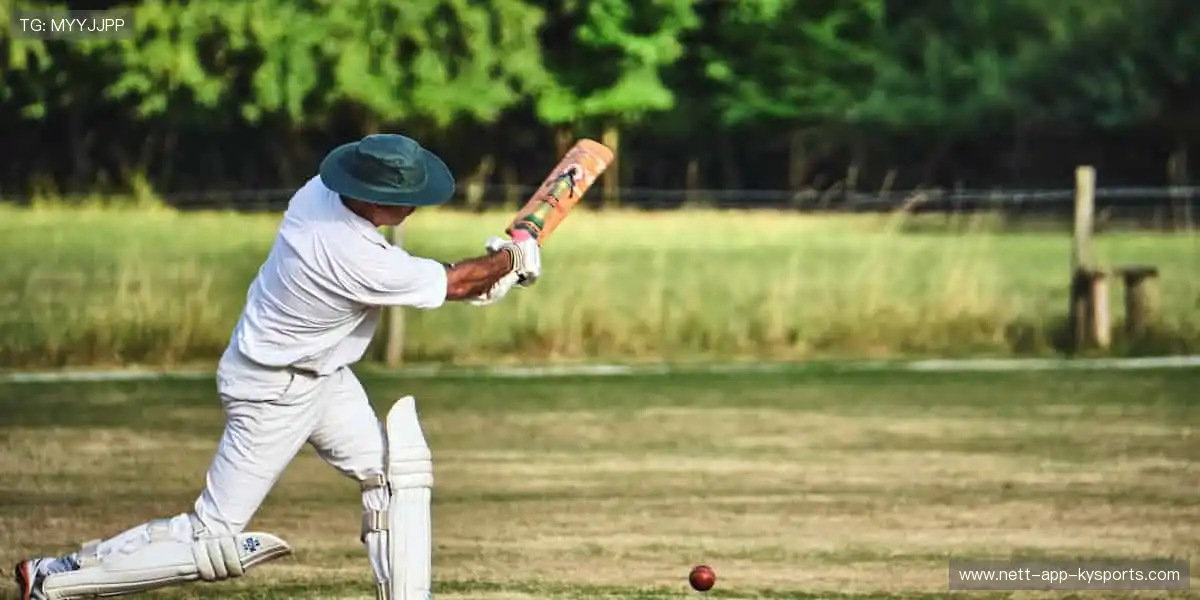 限量款来袭,手慢无!🚨🎯